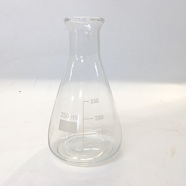 LAB GLASSWARE, Conical Flask 250mL 